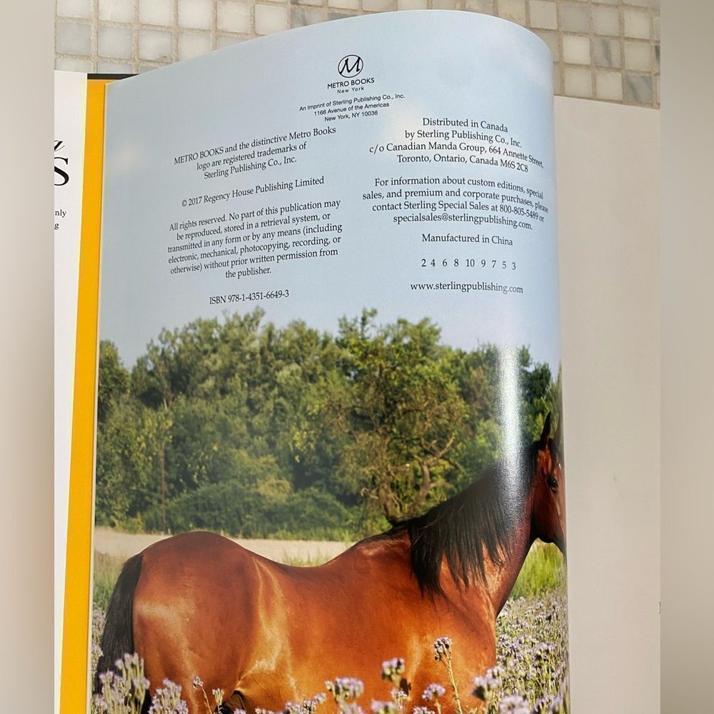 Beautiful Enchanting Horse Full Color Book 450 pages - Picture 7 of 10